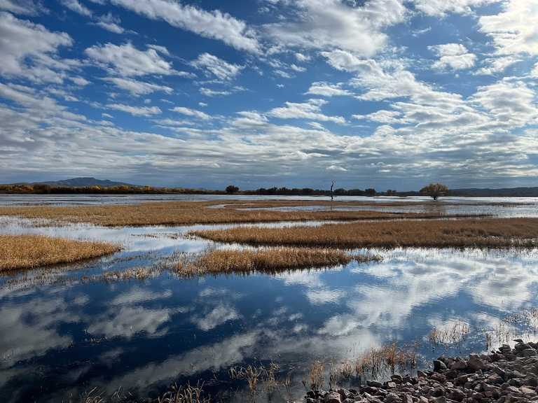A perfect reflective moment at Bosque del Apache Wildlife Refuge in central New Mexico.
