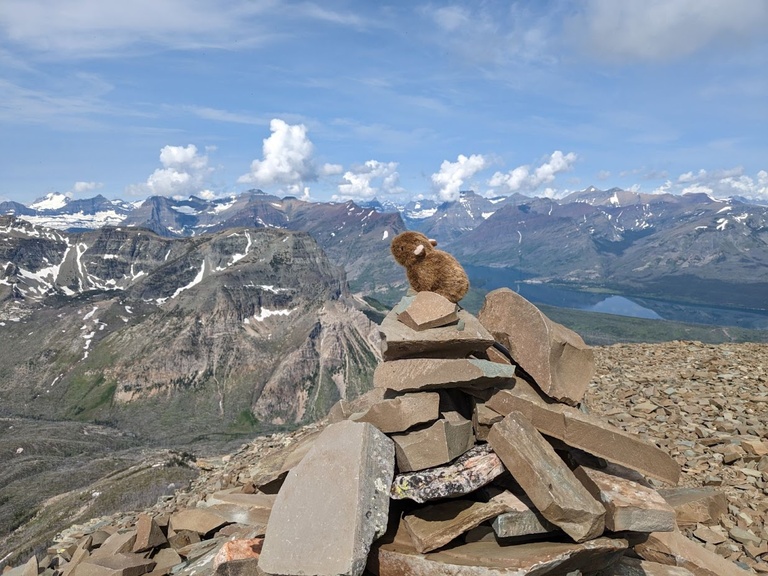 Pika team mascot Rat LePika on another summit cairn – the big showoff!