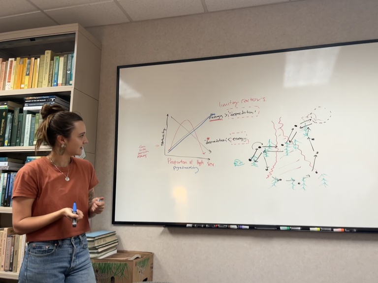 Dr. Kate McGinn contemplates the meaning of life and a conceptual diagram she’s just sketched on the lab whiteboard.