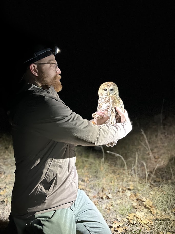 Gavin handling a just-captured Mexican spotted owl in the Jemez mountains, New Mexico.