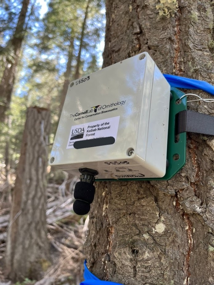 Close-up of a Cornell SwiftOne acoustic recording unit that was deployed on the Kabiab National Forest as part of a study of bird communities.