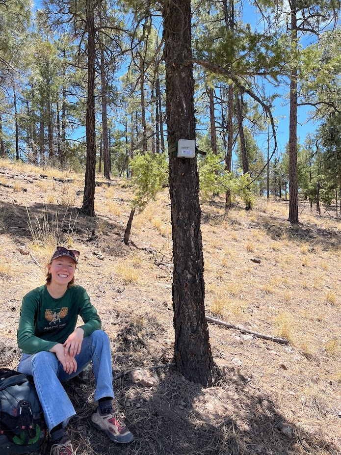 Jessalyn Ayars poses with a recently deployed acoustic recording unit on the Black Range Ranger District of the Gila National Forest.