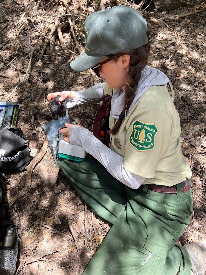 Paige Handley, a biologist with the Cibola National Forest, deploys an acoustic recording unit as part of a collaboration with Rocky Mountain Research Station.