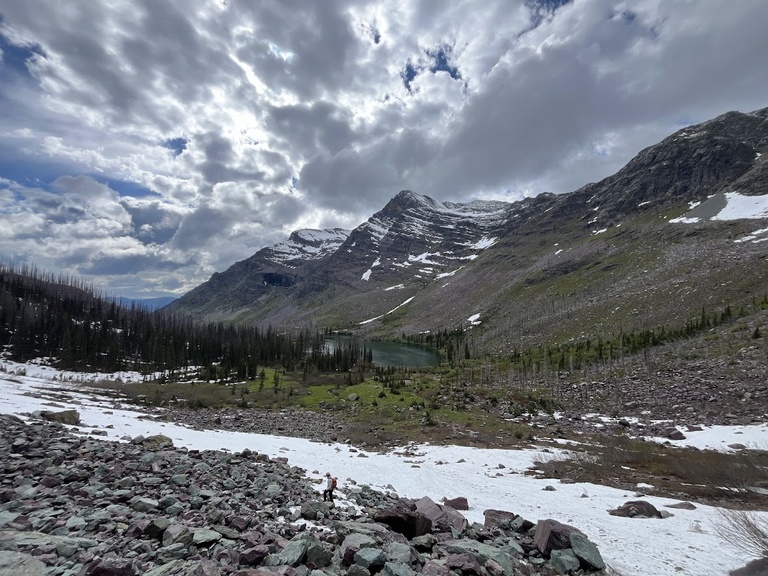 Dr. Kari Norman traverses a talus field in search of pika sign. Can you spot her?