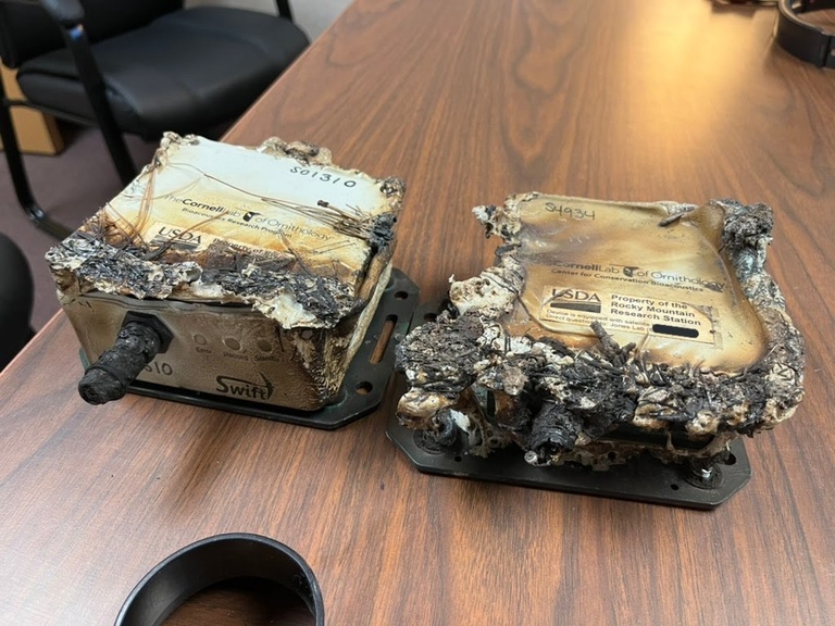 When we said we wanted to study the effects of wildfire, we didn’t mean it like this!