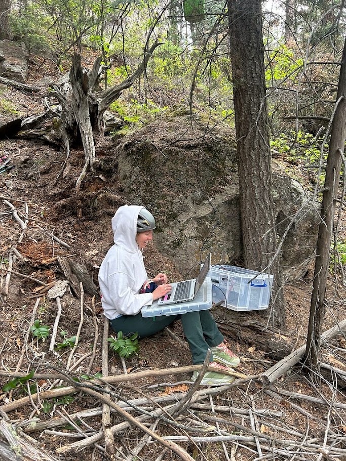 When the field truly is your office! Ceeanna Zulla programs a nest video camera before she climbs the tree (with helmet!) to set it up.