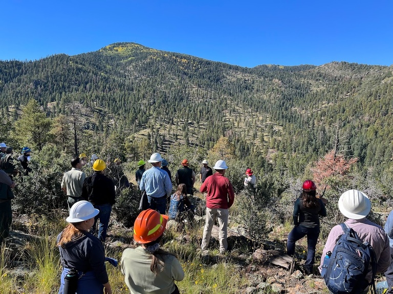 Looking at landscape-level fuels reduction treatments in Mexican spotted owl habitat on the Kaibab National Forest, Arizona.