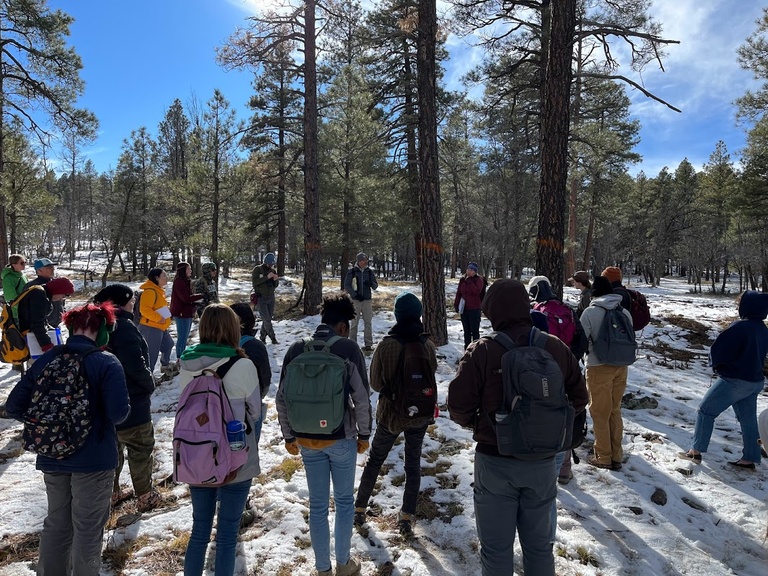 Joining Dr. Pete Fulé’s class field trip to Mexican spotted owl habitat on the Coconino National Forest in Arizona.