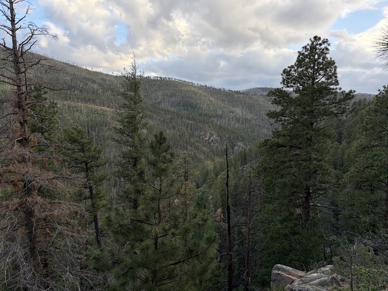 Deep inside the 2022 Hermit’s Peak/Calf Canyon fire in northern New Mexico – the largest fire in state history. Note the burned trees on the far slope.