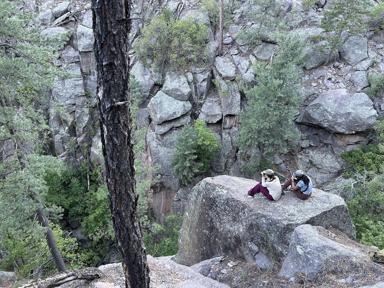 Spying on owls.