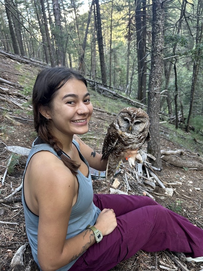 Graduate student Elizabeth Ng holds a Mexican spotted owl after capturing, banding, and attaching a tail-mounted GPS tag.