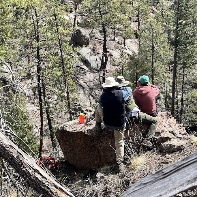 Legendary ecologist Craig Allen demonstrates the posture and flexibility required to brace yourself for spotted owl viewing!