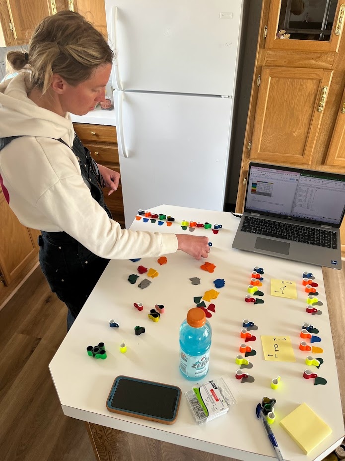 Ceeanna Zulla organizes and assembles color leg bands that will be used to uniquely identify Mexican spotted owls.