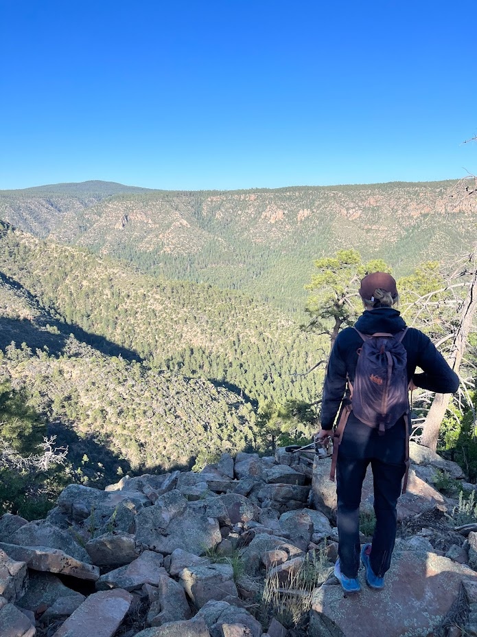 Ceeanna Zulla – on her way to catch an owl – looks for a route to descend the Mogollon Rim in northern Arizona.