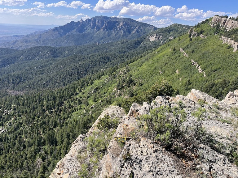 A stunning view of the long ridge of the Sandia Mountains from mile ~18 of the Sandia Crest trail just east of Albuquerque.
