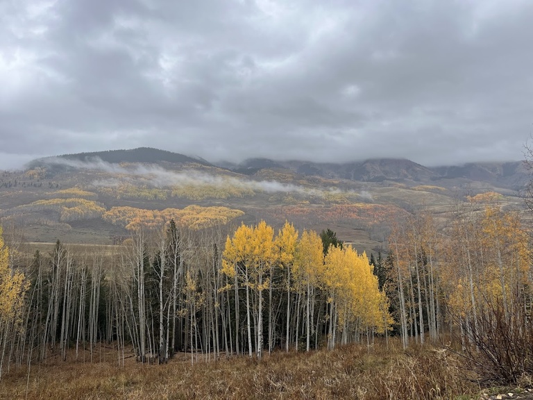 Gavin got to visit Gothic, CO in Fall 2025 for a workshop in forest climate adaptation.